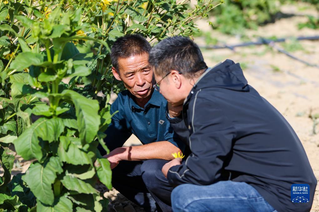 下载游戏的软件