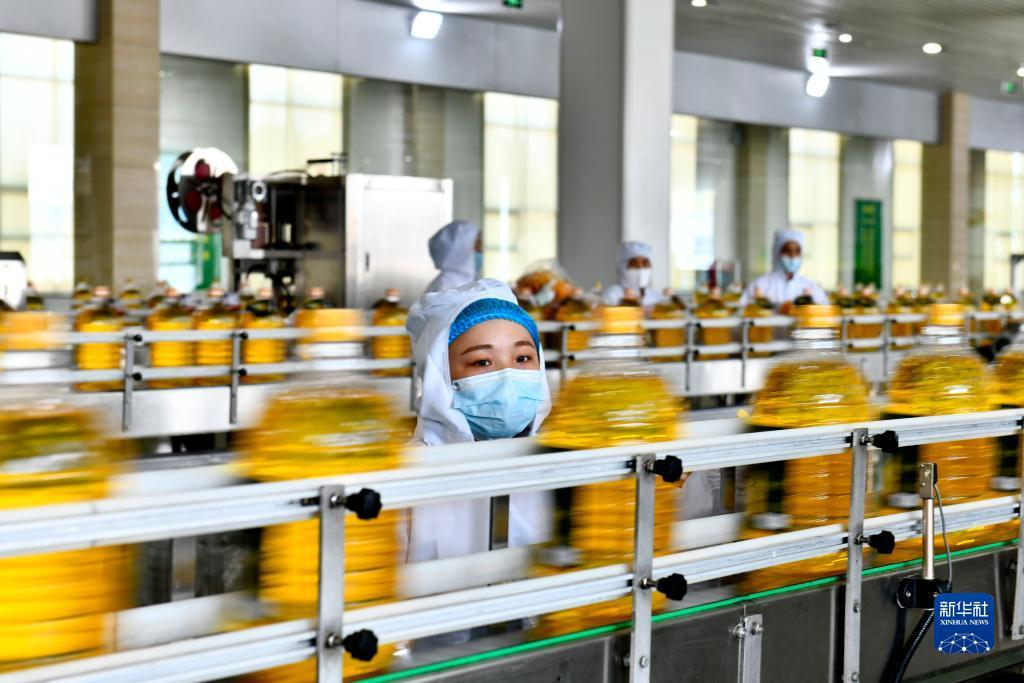集结号官方充值